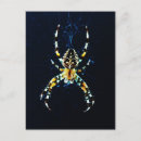 Suche nach spid postkarten Spinne