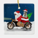 Suche nach rattenfänger ornamente Für alle