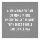 Suche nach weimaraner poster Hund