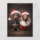 Suche nach dackel spaß postkarten Hunde