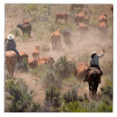 Suche nach wild west fliesen Western