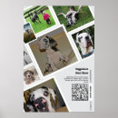 Suche nach zucht poster Jede person