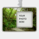 Suche nach farn ornamente Für alle