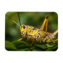 Suche nach grasshopper magnete Fehler