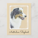 Suche nach australian shepherd postkarten Hund