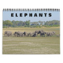 Suche nach elefanten kalender Tierwelt
