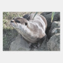 Suche nach niedlicher otter geschenkpapier Jede person