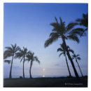 Suche nach reisebestimmungsorte fliesen Tropisches klima