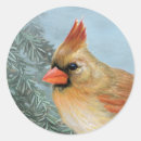 Suche nach singvögel aufkleber Für alle