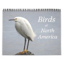 Suche nach umwelt kalender Natur