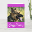 Suche nach german shepherd karten Welpe
