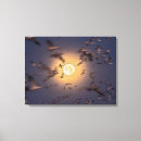 Suche nach jaynes galerie leinwandbilder Superstock