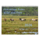 Suche nach chincoteague Natur