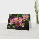 Suche nach carpe karten Diem