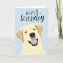 Suche nach labrador geburtstag karten Hund