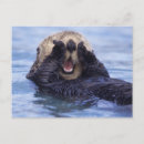 Suche nach seeotter postkarten Tier