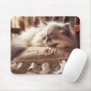 Suche nach schlafend mousepads Kätzchen
