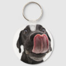 Suche nach nase schlüsselanhänger Labrador retriever