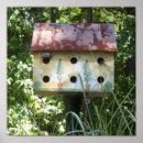 Suche nach birdhouses poster Fotografie