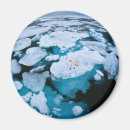 Suche nach eisbär magnete Schnee