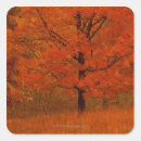 Suche nach herbstbaum aufkleber Natur