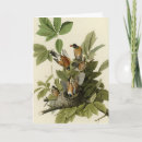 Suche nach audubon karten Vogelvogel