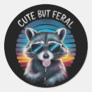 Suche nach lustiger waschbär aufkleber Cool