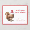 Suche nach eichhörnchen spaß postkarten Weihnachtshörnchen