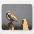 Suche nach spatzen mousepads Vogel