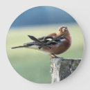 Suche nach finke wanduhren Wildvogel