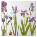 Suche nach redoute fliesen Botanisch