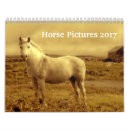 Suche nach pferdeartig kalender Fohlen