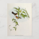 Suche nach gould postkarten John