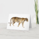 Suche nach tiger karten Animals
