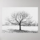 Suche nach winterbaum poster Schnee
