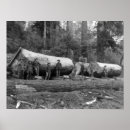 Suche nach dampfer poster Staaten