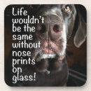 Suche nach nase untersetzer Hund