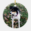 Suche nach rat ornamente Hund