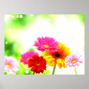 Suche nach blumenlandschaft poster Jede person