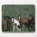 Suche nach wilder mustang mousepads Gruppe