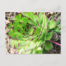 Suche nach montepulciano postkarten Foto