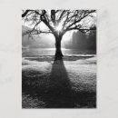 Suche nach lake district postkarten Baum