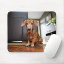 Suche nach niedlicher welpe mousepads Haustiere