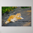 Suche nach ingwer poster Hawaii