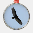 Suche nach geier ornamente Raubvögel
