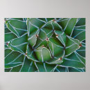 Suche nach weiß grün poster Geometrie