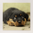 Suche nach rottweiler puzzle Natur