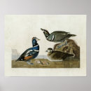 Suche nach harlequin poster Darstellung