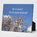 Suche nach grab fotoplatten Ostern