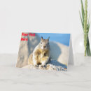 Suche nach eichhörnchen karten Tiere